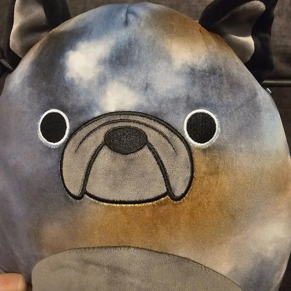 Squishmallow French Bulldog 12